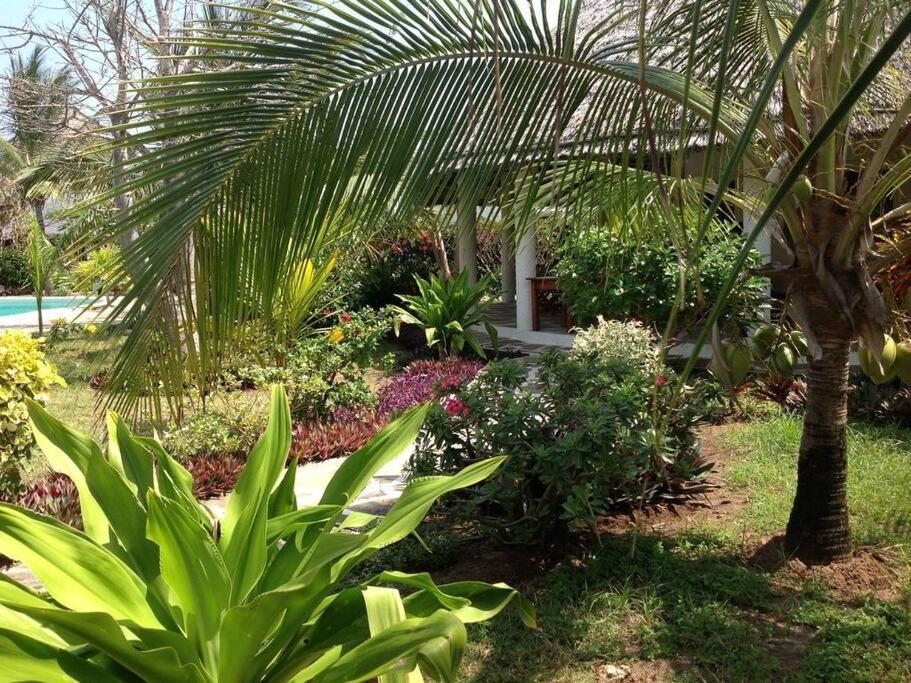 Apartmán Luxury Simba House In Watamu ☆☆☆☆☆ Exteriér fotografie
