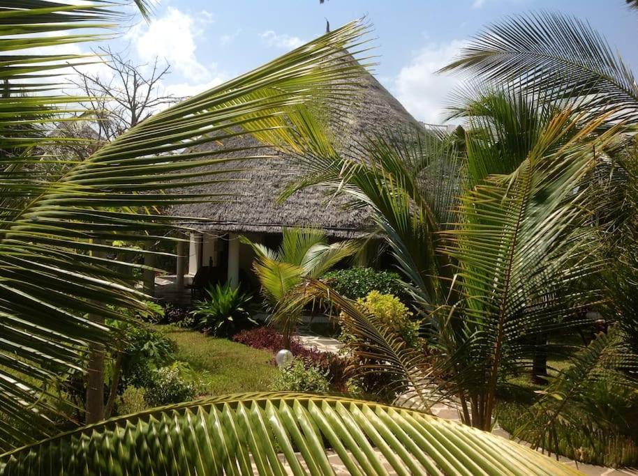 Apartmán Luxury Simba House In Watamu ☆☆☆☆☆ Exteriér fotografie