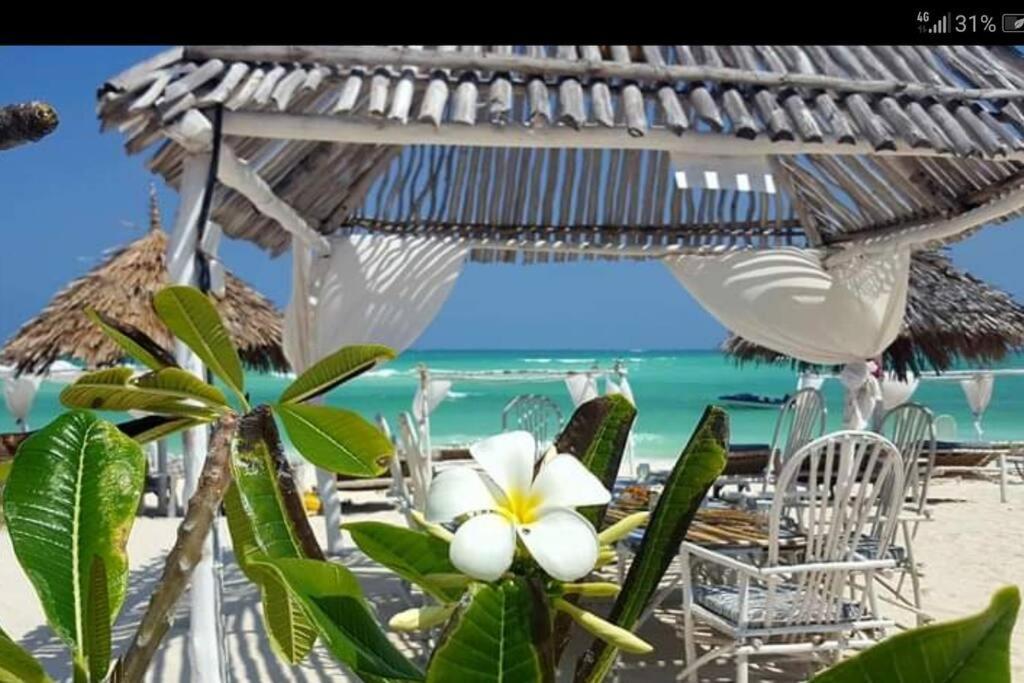 Apartmán Luxury Simba House In Watamu ☆☆☆☆☆ Exteriér fotografie